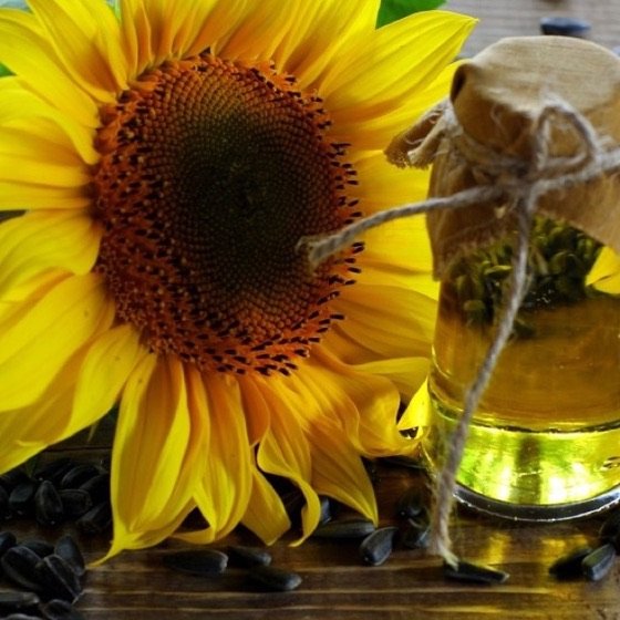 Refined Sunflower Oil 5L Jar